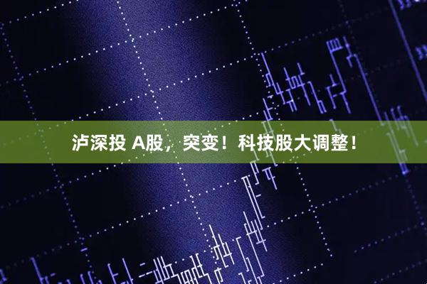 泸深投 A股，突变！科技股大调整！